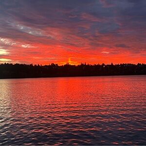 Meet your Posher, Jeri